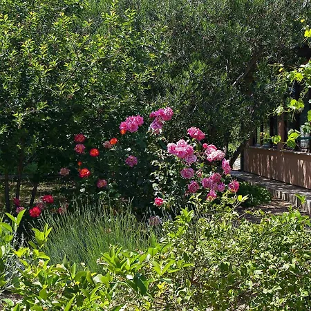 Σπίτι διακοπών Seaside House With A Swimming Pool - 22890 Σπλιτ